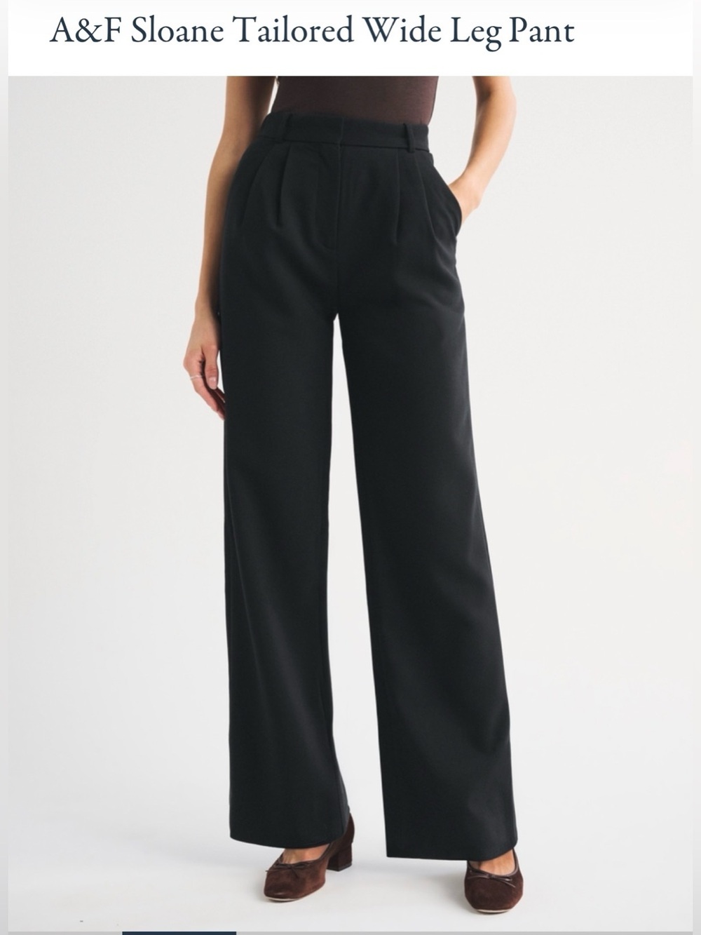Abercrombie & Fitch NAVY Tailored Wide-Leg Pants